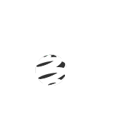 Grupo Roda